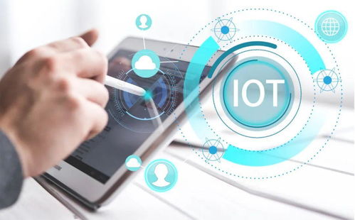 荣耀升级 引领年轻生活新方式，共筑中国IoT生态未来